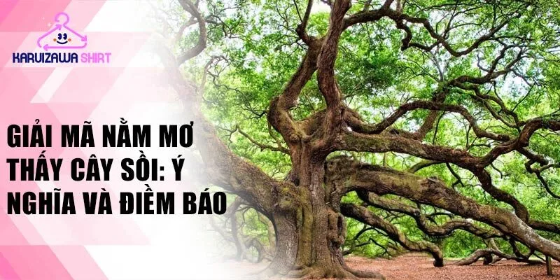 Giải mã nằm mơ thấy cây sồi: ý nghĩa và điềm báo