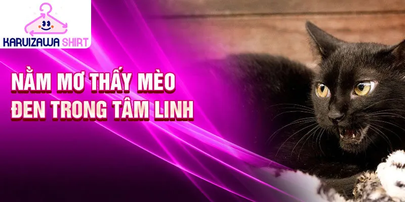 Nằm mơ thấy mèo đen trong tâm linh