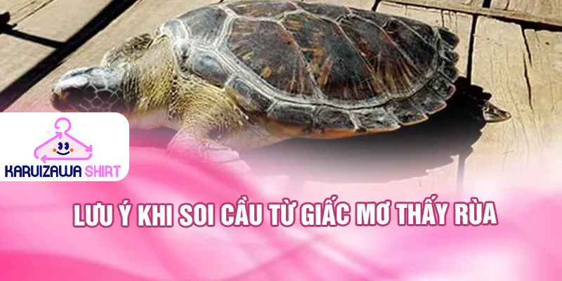 Nằm Mơ Thấy Rùa: Ý Nghĩa và Số May Mắn Ẩn Giấu 4 Lưu ý khi soi cầu từ giấc mơ thấy rùa
