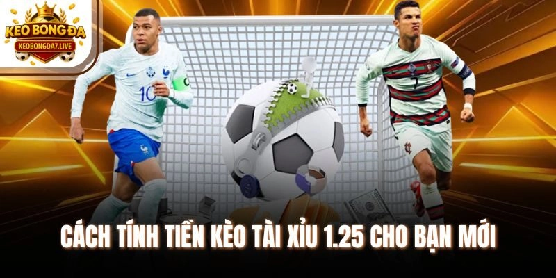 Cách tính tiền kèo tài xỉu 1.25 cho bạn mới