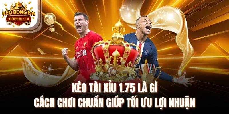 Kèo Tài Xỉu 1.75 Là Gì Cách Chơi Chuẩn Giúp Tối Ưu Lợi Nhuận