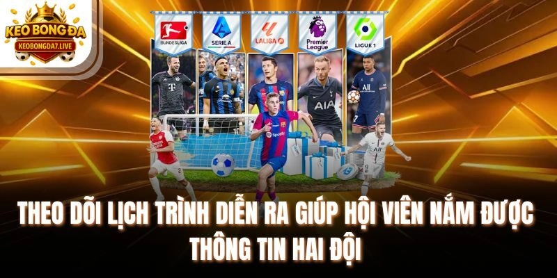 Theo dõi lịch trình diễn ra giúp hội viên nắm được thông tin hai đội
