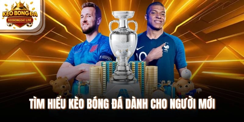 Tìm hiểu Kèo Bóng Đá dành cho người mới